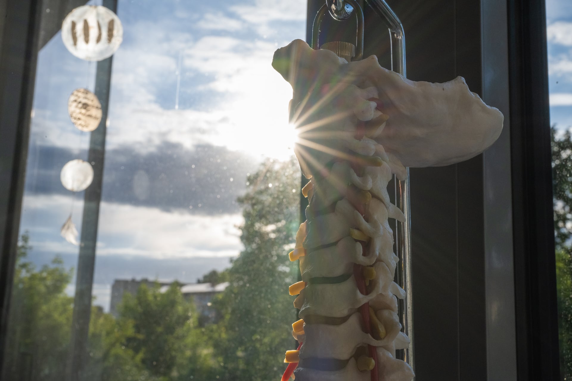 Physiotherapie Elbers&Homes - Wirbelsäule